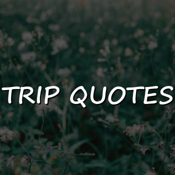 trip quotes - 2026