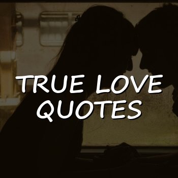 true love quotes - 2026