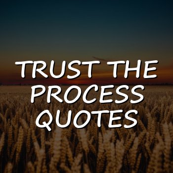 trust the process quotes - 2026