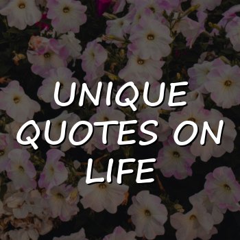 unique quotes on life - 2026