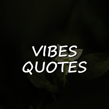 vibes quotes - 2026