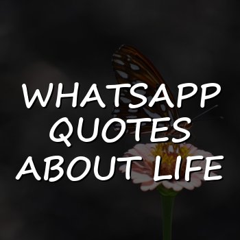 whatsapp quotes about life - 2026