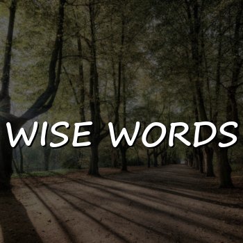 wise words - 2026