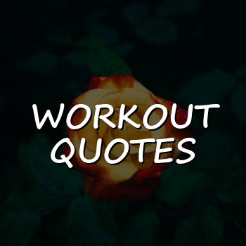 workout quotes - 2026