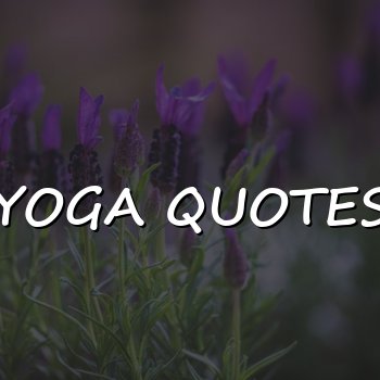 yoga quotes - 2026