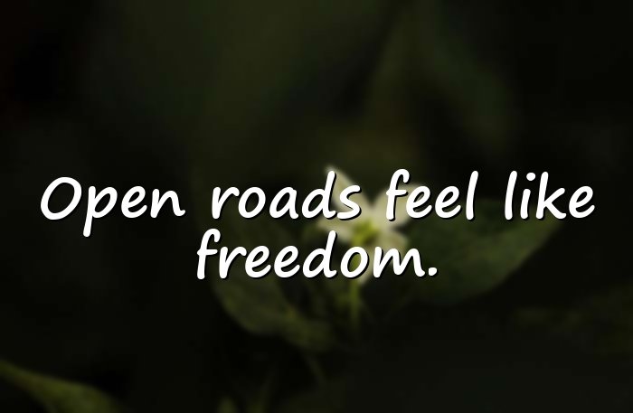 car quotes - 21
