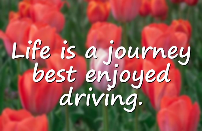 car quotes - 11