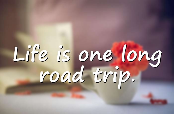 car quotes - 1