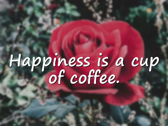 coffee quotes - 16