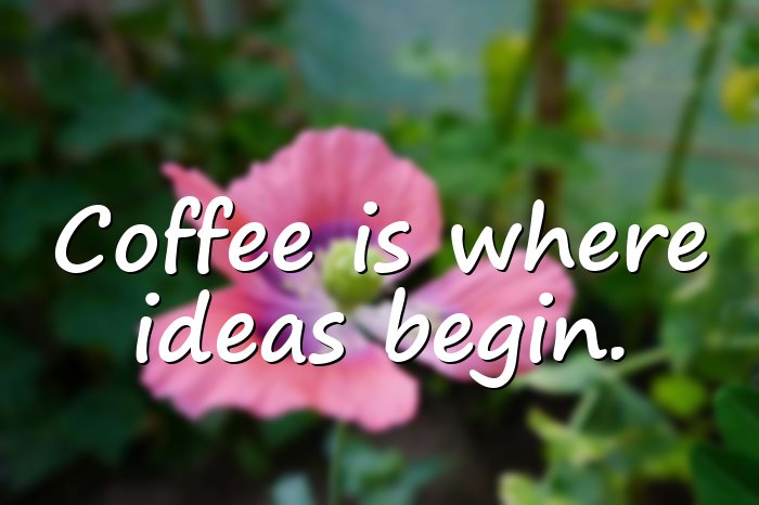 coffee quotes - 6