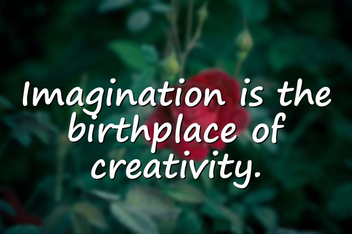 creativity quotes - 21