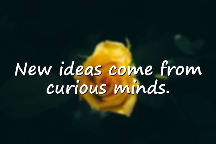 creativity quotes - 11