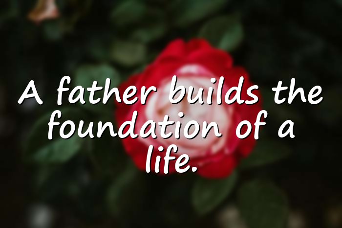 dad quotes - 21