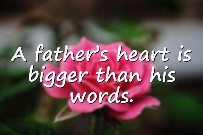 dad quotes - 16
