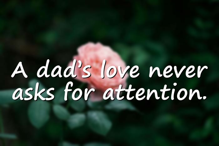 dad quotes - 6