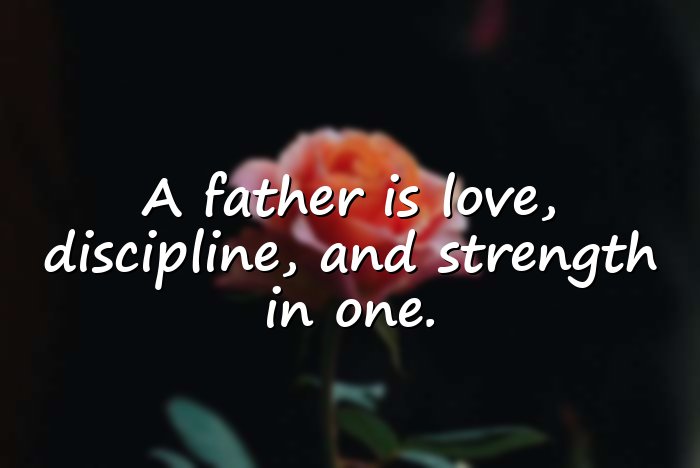 dad quotes - 1