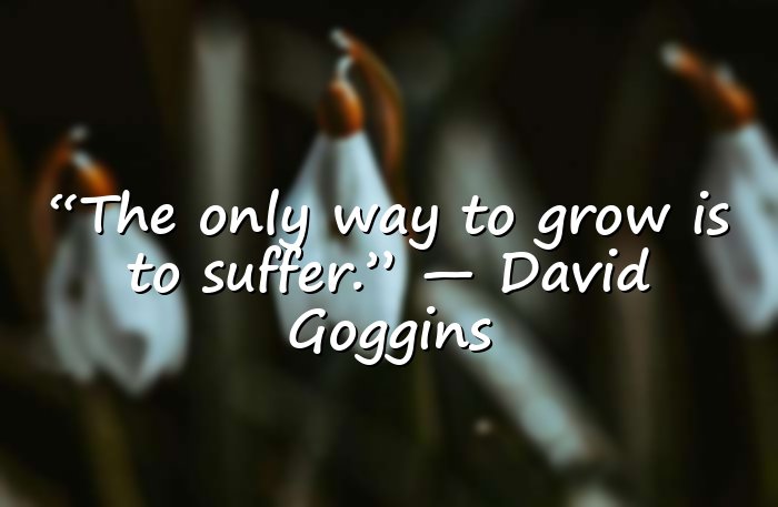 david goggins quotes - 16