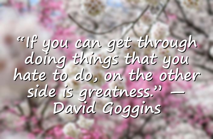 david goggins quotes - 11