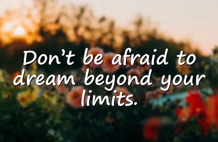 dream big quotes - 16