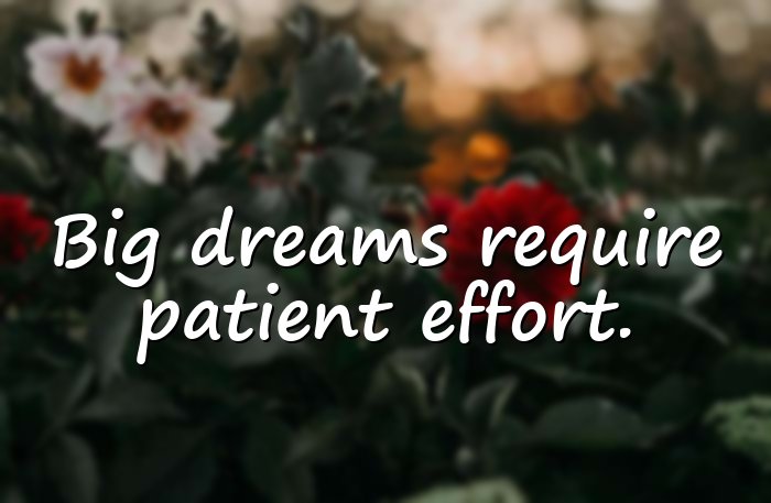 dream big quotes - 6