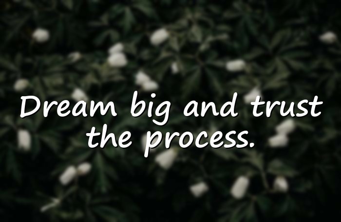 dream big quotes - 11