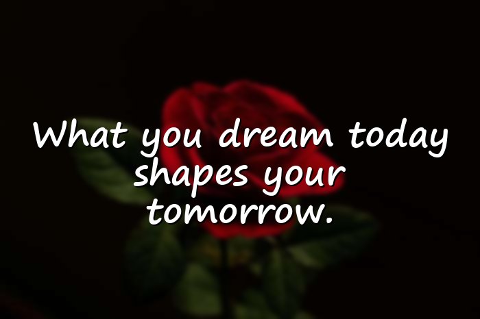 dream quotes - 21