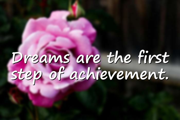 dream quotes - 16