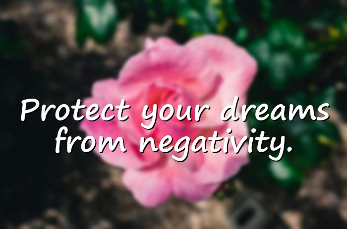 dream quotes - 1