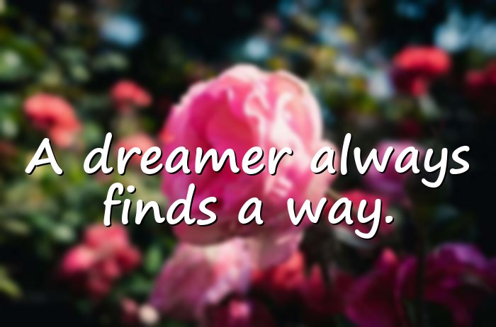 dream quotes - 21
