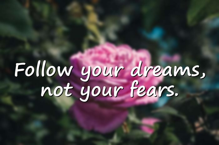 dream quotes - 16