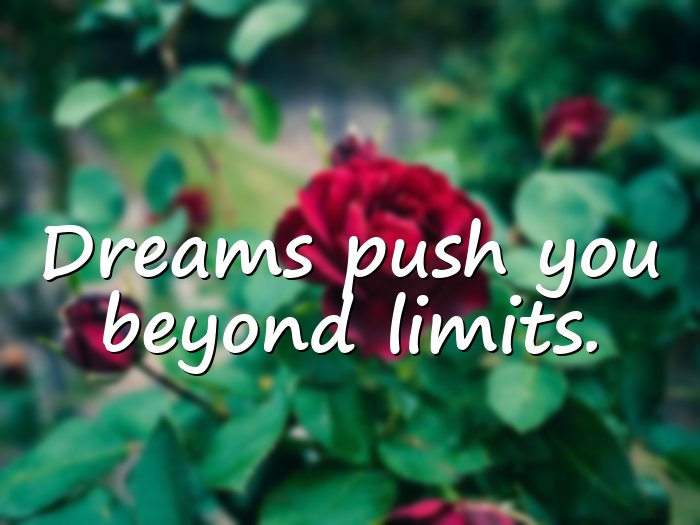 dream quotes - 6
