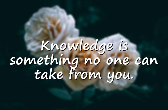 education quotes - 16