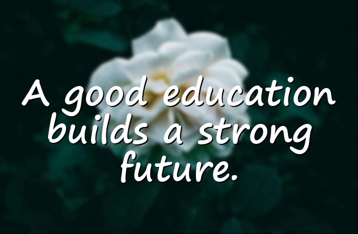 education quotes - 11