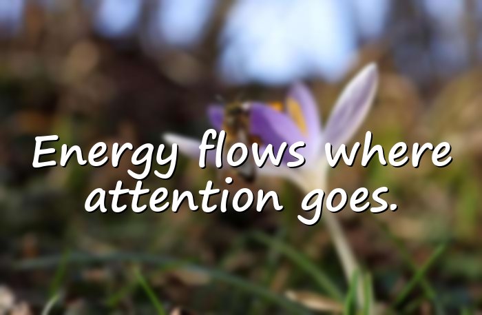 energy quotes - 6