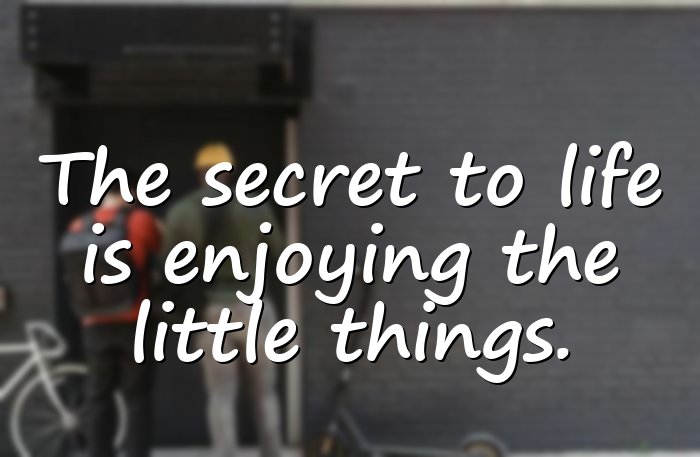 enjoying life quotes - 21
