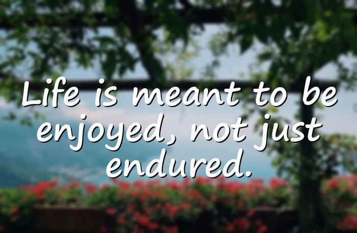 enjoying life quotes - 16