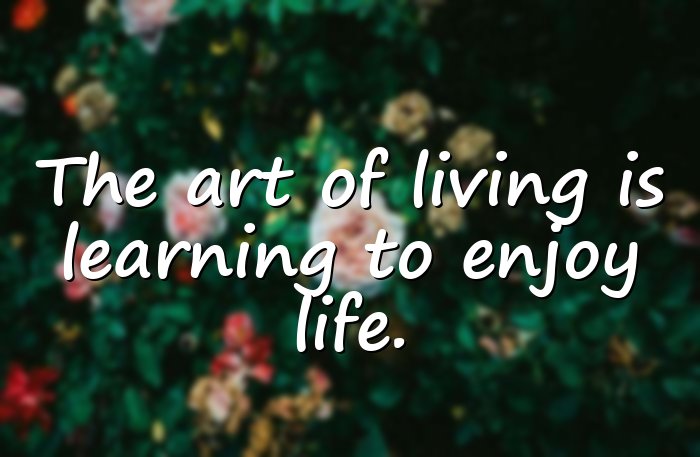 enjoying life quotes - 6