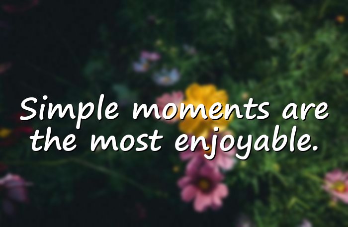 enjoying life quotes - 1