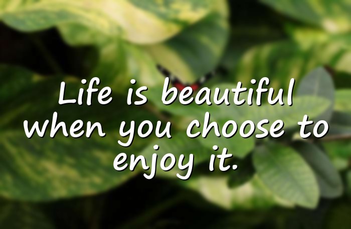 enjoying life quotes - 21