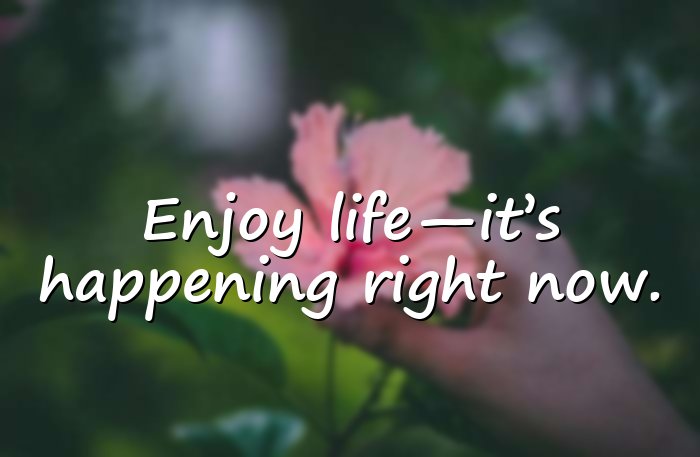 enjoying life quotes - 1