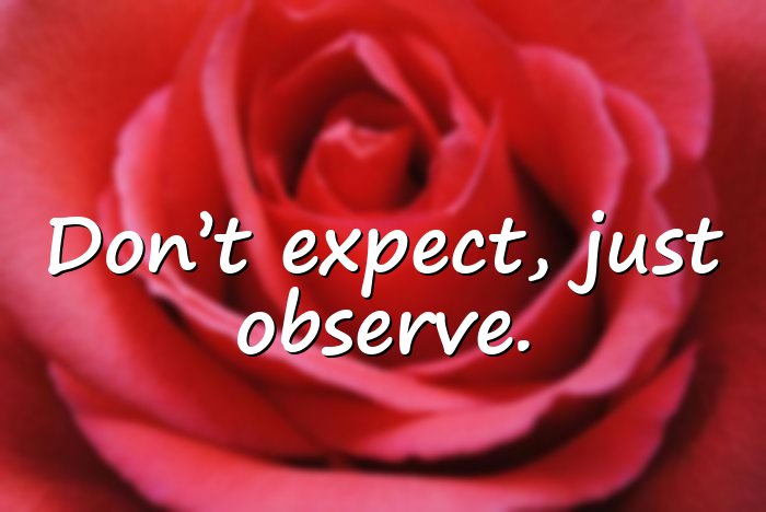 expectations quotes - 6
