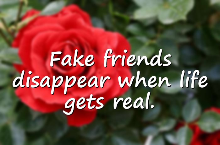 fake friends quotes - 21