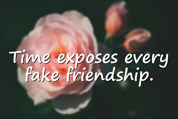fake friends quotes - 16