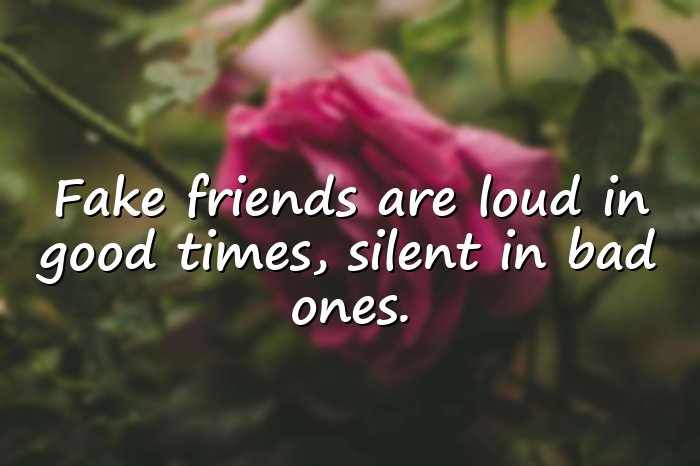fake friends quotes - 11