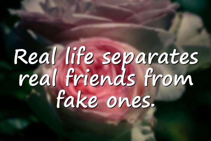 fake friends quotes - 1