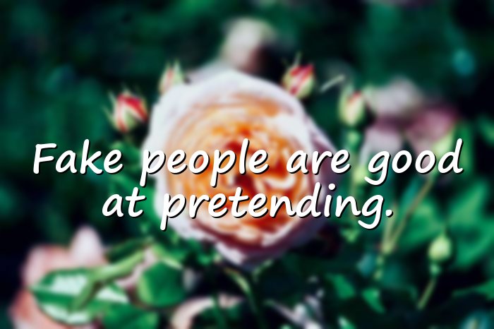 fake people quotes - 16