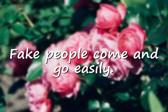 fake people quotes - 11