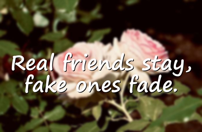 fake people quotes - 6