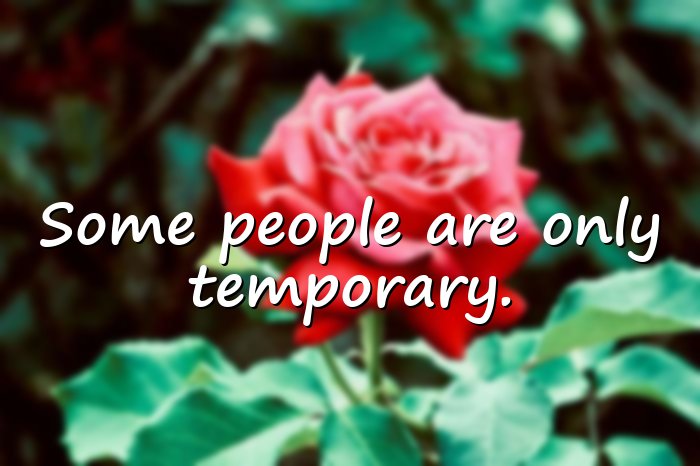 fake people quotes - 1