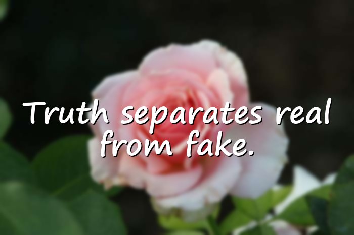 fake people quotes - 11